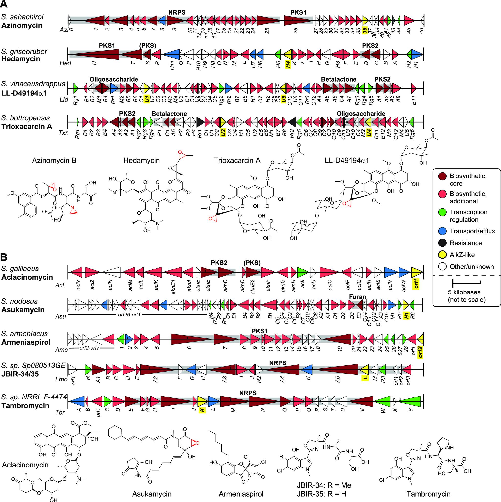https://cdn.ncbi.nlm.nih.gov/pmc/blobs/eb57/9040887/74be1484262e/mbio.03297-21-f003.jpg