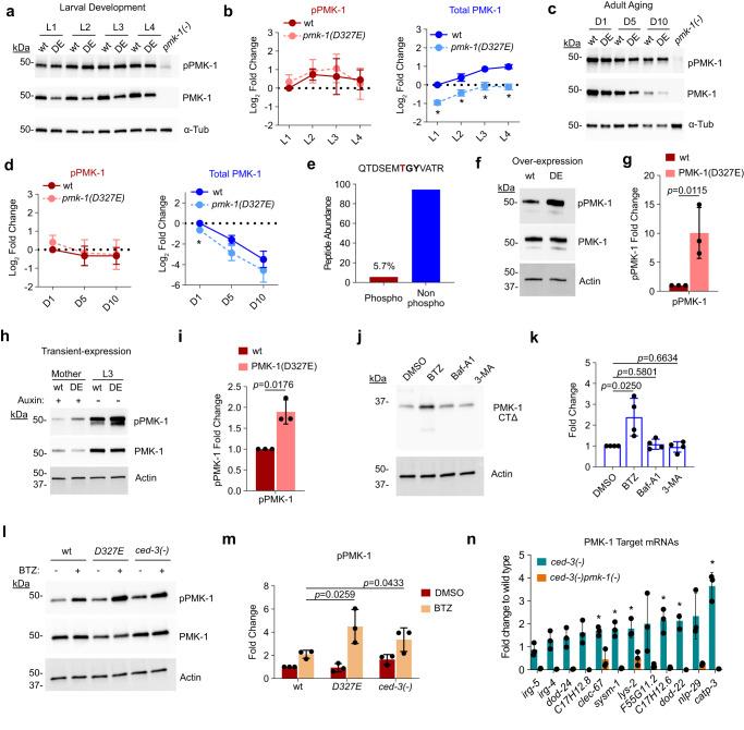 https://cdn.ncbi.nlm.nih.gov/pmc/blobs/eb58/10382525/8c926bde20b0/41467_2023_40317_Fig5_HTML.jpg
