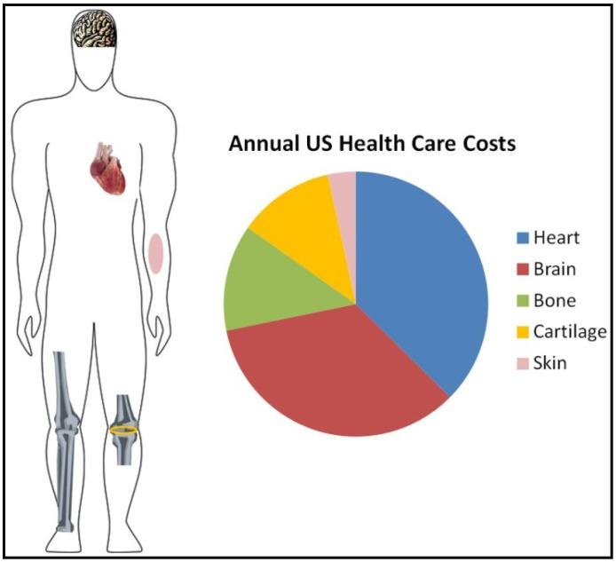 https://cdn.ncbi.nlm.nih.gov/pmc/blobs/eb58/5452318/430b5a07c99a/materials-06-01333-g001.jpg