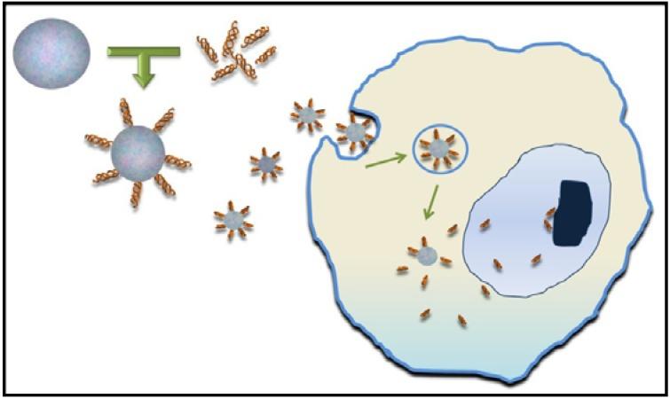 https://cdn.ncbi.nlm.nih.gov/pmc/blobs/eb58/5452318/439b09a54332/materials-06-01333-g004.jpg