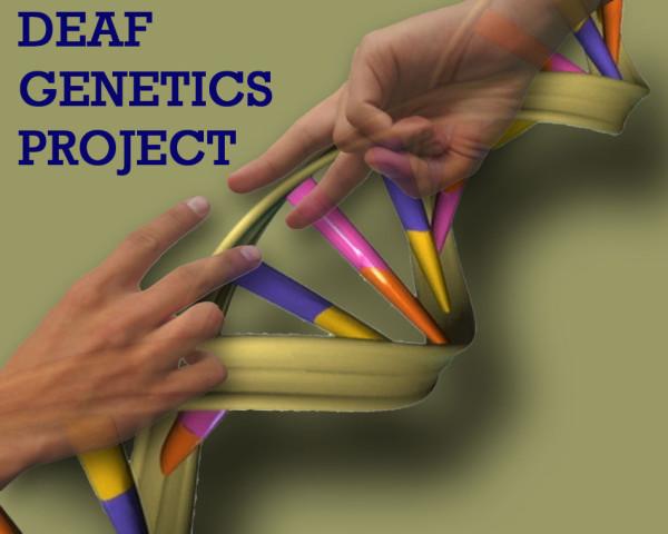 https://cdn.ncbi.nlm.nih.gov/pmc/blobs/eb5d/3924226/c1a27e73ec5c/1471-2288-13-145-3.jpg