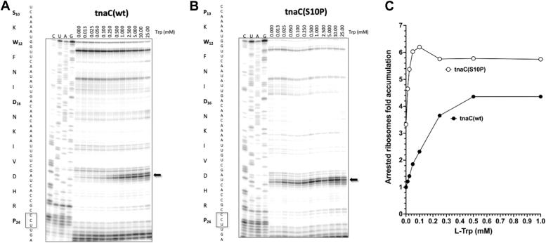 https://cdn.ncbi.nlm.nih.gov/pmc/blobs/eb5e/10941005/11fecdedd018/gr3.jpg