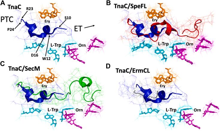 https://cdn.ncbi.nlm.nih.gov/pmc/blobs/eb5e/10941005/585ea79cbc5b/gr1.jpg