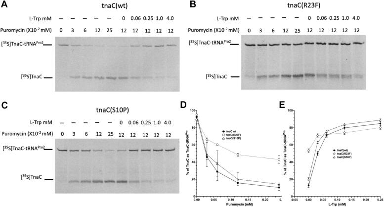 https://cdn.ncbi.nlm.nih.gov/pmc/blobs/eb5e/10941005/e9c9adaafe26/gr4.jpg