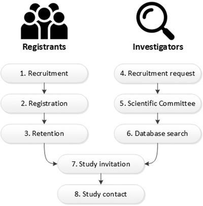 https://cdn.ncbi.nlm.nih.gov/pmc/blobs/eb5e/7882519/e6113ed53be5/TRC2-7-e12132-g001.jpg