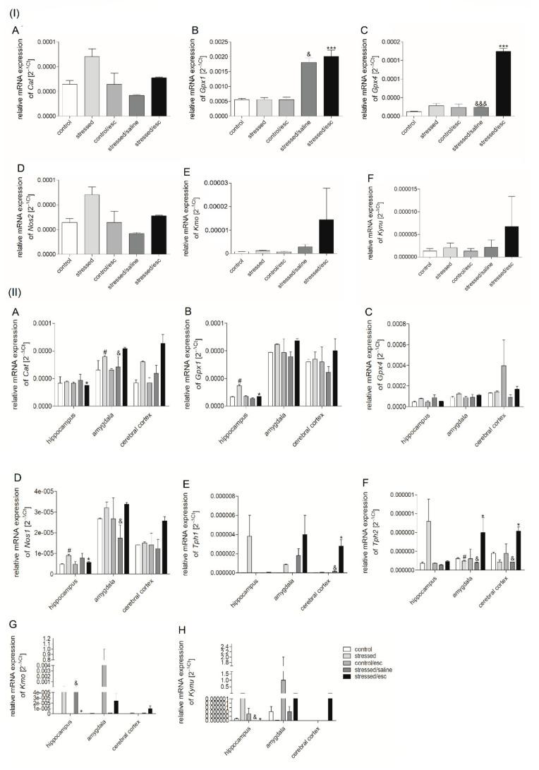 https://cdn.ncbi.nlm.nih.gov/pmc/blobs/eb5f/7792593/463ab8964cbe/ijms-22-00010-g002.jpg