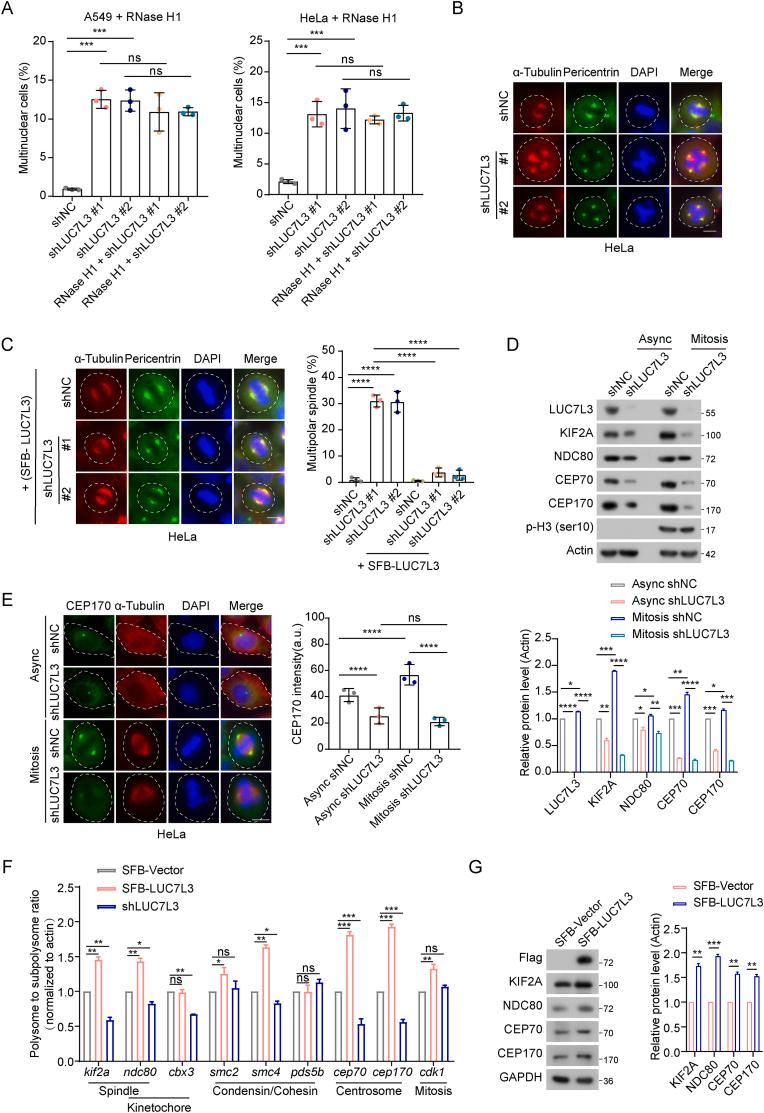 https://cdn.ncbi.nlm.nih.gov/pmc/blobs/eb60/10999515/7bb473e51e14/gr4.jpg