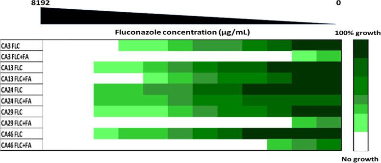 https://cdn.ncbi.nlm.nih.gov/pmc/blobs/eb62/10858509/002cfe3eaf71/12866_2024_3181_Fig5_HTML.jpg