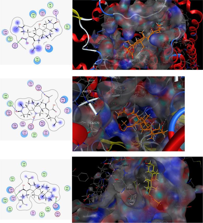 https://cdn.ncbi.nlm.nih.gov/pmc/blobs/eb62/10858509/25acfb14ce99/12866_2024_3181_Fig8_HTML.jpg