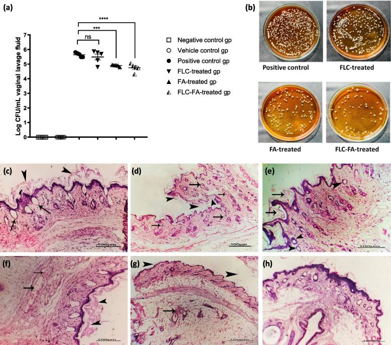 https://cdn.ncbi.nlm.nih.gov/pmc/blobs/eb62/10858509/6cfa105ac0f4/12866_2024_3181_Fig9_HTML.jpg