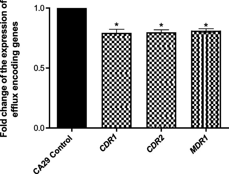 https://cdn.ncbi.nlm.nih.gov/pmc/blobs/eb62/10858509/7339e190115e/12866_2024_3181_Fig7_HTML.jpg