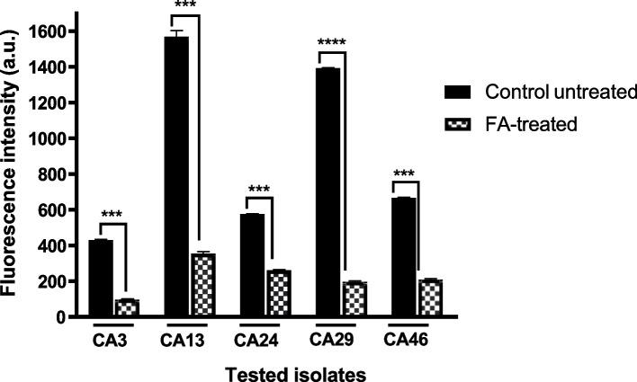 https://cdn.ncbi.nlm.nih.gov/pmc/blobs/eb62/10858509/d106c34e5121/12866_2024_3181_Fig2_HTML.jpg