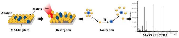 https://cdn.ncbi.nlm.nih.gov/pmc/blobs/eb63/12250659/f55380e9d72a/nanomaterials-15-00973-g001.jpg