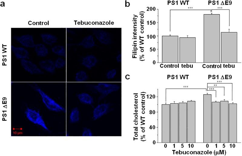 https://cdn.ncbi.nlm.nih.gov/pmc/blobs/eb65/6347419/797022beb359/pone.0210535.g004.jpg