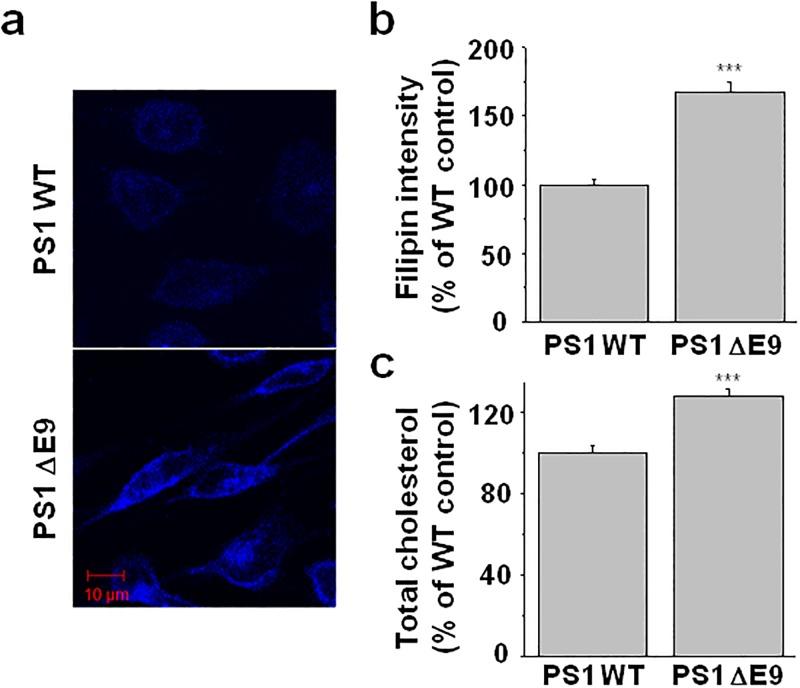 https://cdn.ncbi.nlm.nih.gov/pmc/blobs/eb65/6347419/cda8b16ee3ea/pone.0210535.g001.jpg