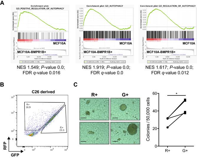 https://cdn.ncbi.nlm.nih.gov/pmc/blobs/eb65/7679376/a870cc56cd80/41598_2020_77347_Fig5_HTML.jpg