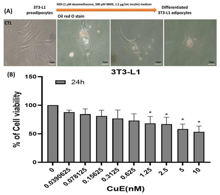 https://cdn.ncbi.nlm.nih.gov/pmc/blobs/eb6d/12383856/0aa4f9764e10/biomedicines-13-01826-g001.jpg