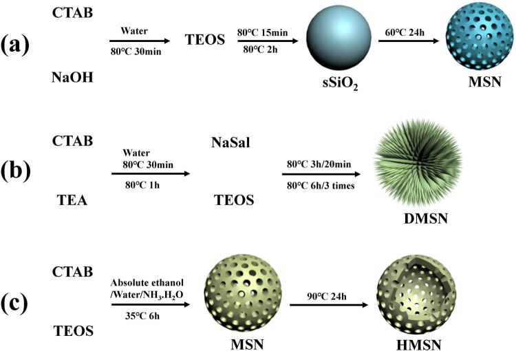 https://cdn.ncbi.nlm.nih.gov/pmc/blobs/eb6e/11097044/5604a4369bca/j_biol-2022-0867-fig001.jpg