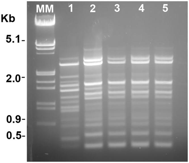 https://cdn.ncbi.nlm.nih.gov/pmc/blobs/eb6f/4786339/09fee5d1a0bf/pntd.0004388.g003.jpg