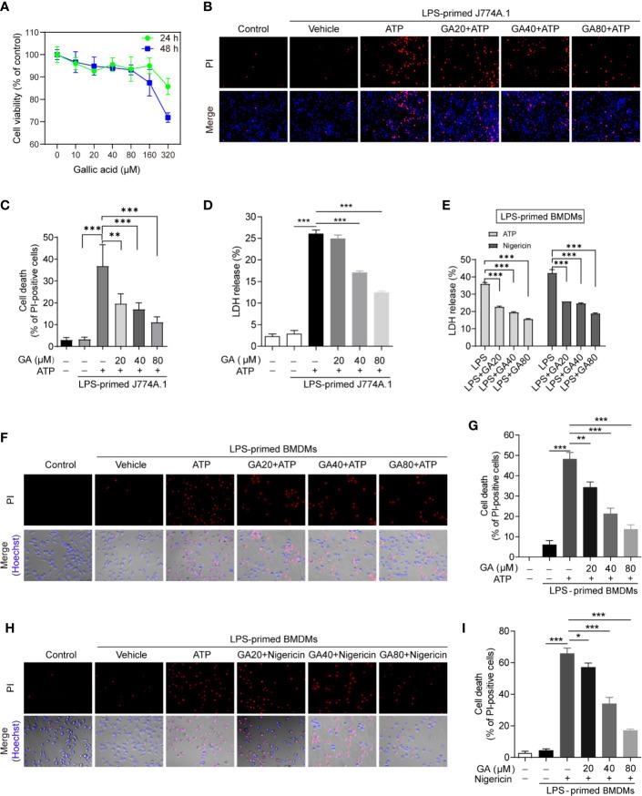 https://cdn.ncbi.nlm.nih.gov/pmc/blobs/eb6f/7750458/5288521034a5/fimmu-11-580593-g001.jpg