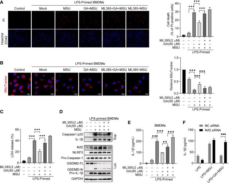 https://cdn.ncbi.nlm.nih.gov/pmc/blobs/eb6f/7750458/601969609d17/fimmu-11-580593-g005.jpg