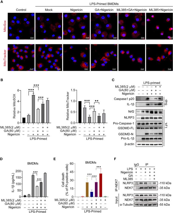 https://cdn.ncbi.nlm.nih.gov/pmc/blobs/eb6f/7750458/c89d69f3f357/fimmu-11-580593-g004.jpg