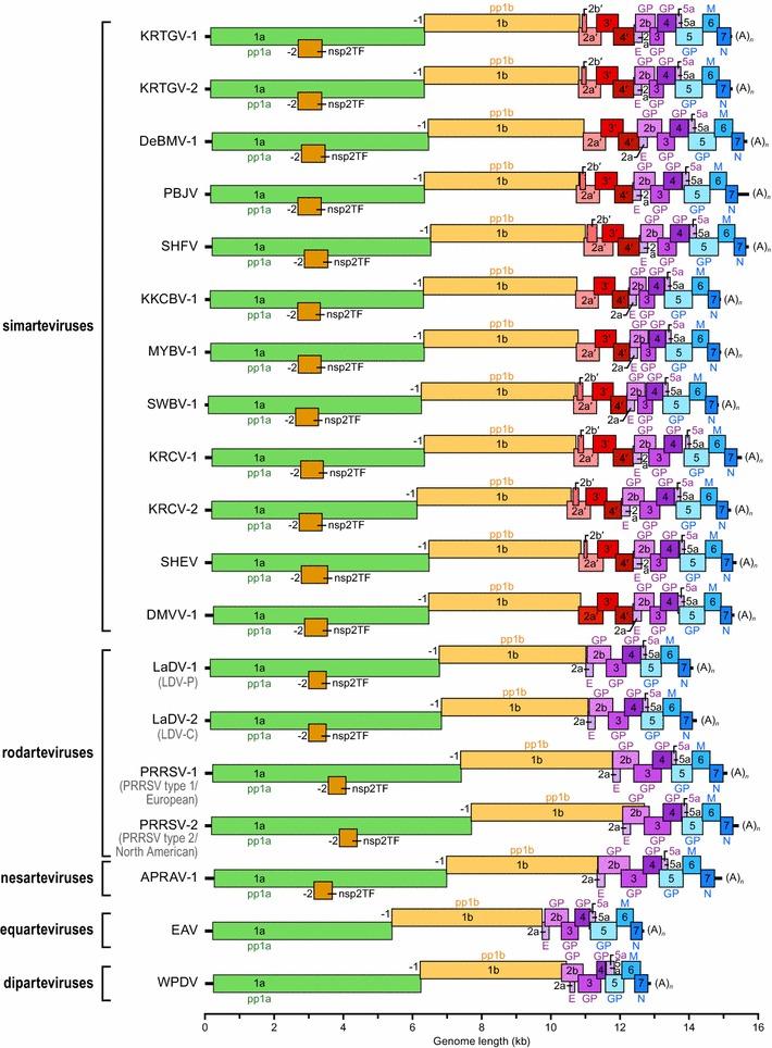 https://cdn.ncbi.nlm.nih.gov/pmc/blobs/eb70/7087239/0bf0069182dd/705_2015_2672_Fig2_HTML.jpg
