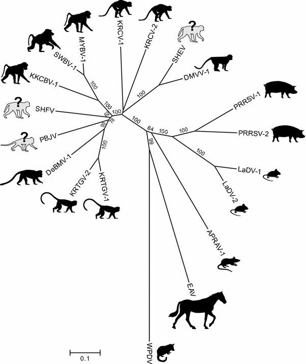https://cdn.ncbi.nlm.nih.gov/pmc/blobs/eb70/7087239/82f26593727d/705_2015_2672_Fig4_HTML.jpg