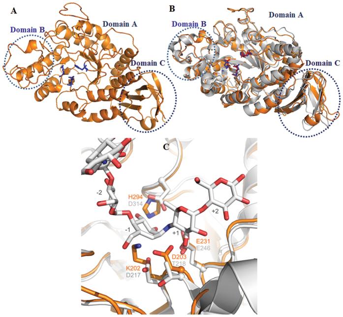 https://cdn.ncbi.nlm.nih.gov/pmc/blobs/eb73/5347038/1c1fbb3d1971/srep44230-f3.jpg