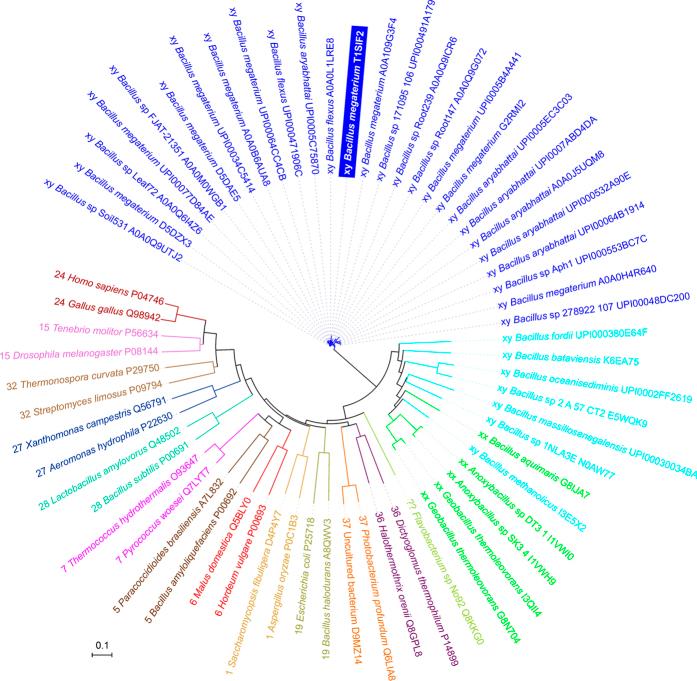 https://cdn.ncbi.nlm.nih.gov/pmc/blobs/eb73/5347038/c9d54834dae4/srep44230-f4.jpg