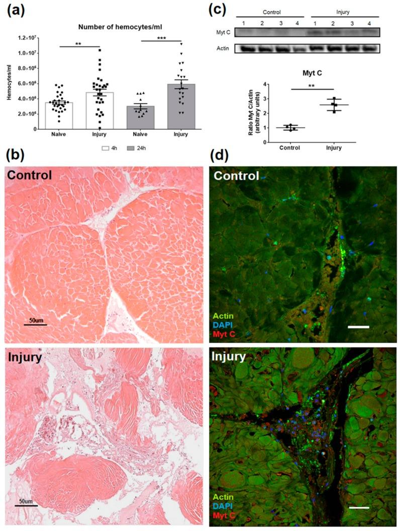 https://cdn.ncbi.nlm.nih.gov/pmc/blobs/eb74/7023338/02fccb87a97c/biomolecules-10-00133-g005.jpg