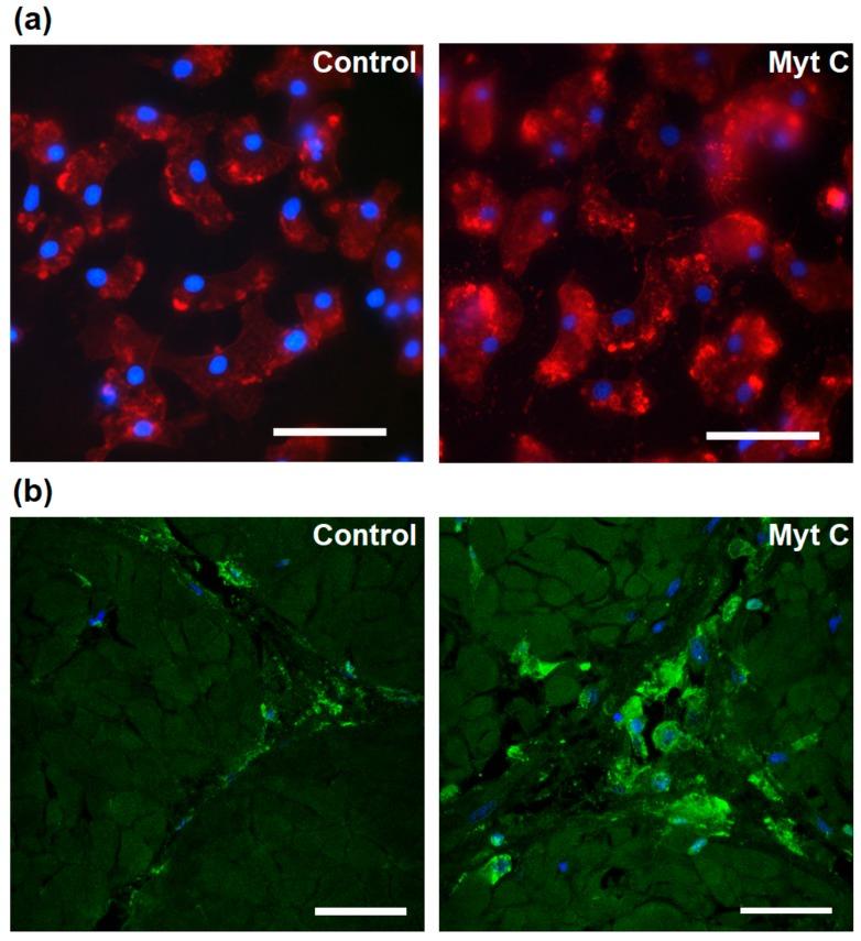 https://cdn.ncbi.nlm.nih.gov/pmc/blobs/eb74/7023338/06c857ee7b85/biomolecules-10-00133-g002.jpg
