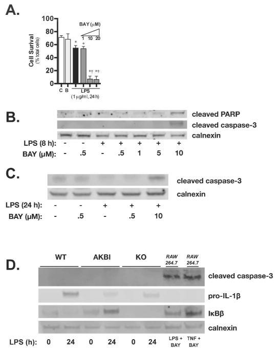 https://cdn.ncbi.nlm.nih.gov/pmc/blobs/eb76/5761659/2787a4130412/nihms895222f4.jpg