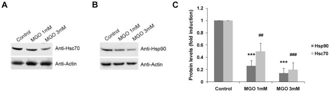https://cdn.ncbi.nlm.nih.gov/pmc/blobs/eb78/2945773/57032d4ccc31/pone.0013007.g002.jpg