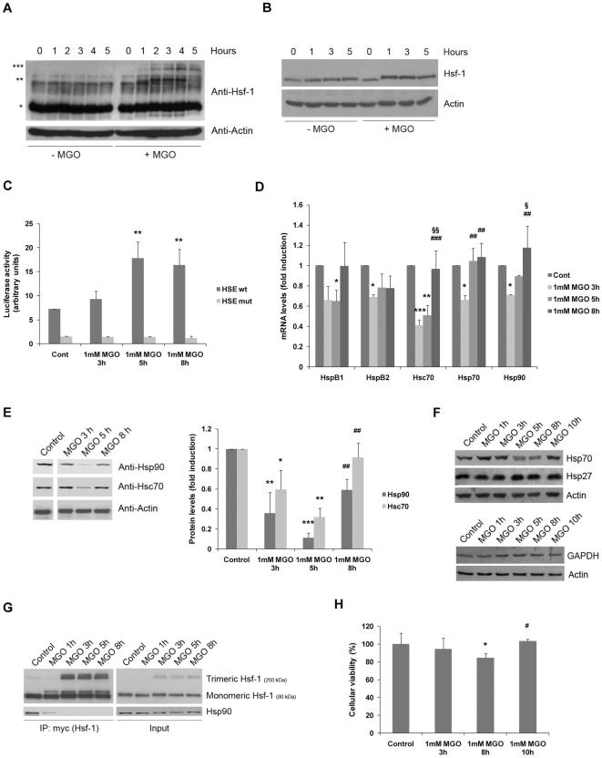 https://cdn.ncbi.nlm.nih.gov/pmc/blobs/eb78/2945773/d57c382eea6d/pone.0013007.g005.jpg