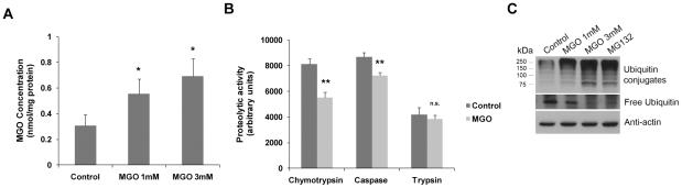 https://cdn.ncbi.nlm.nih.gov/pmc/blobs/eb78/2945773/de617c6c50bf/pone.0013007.g001.jpg