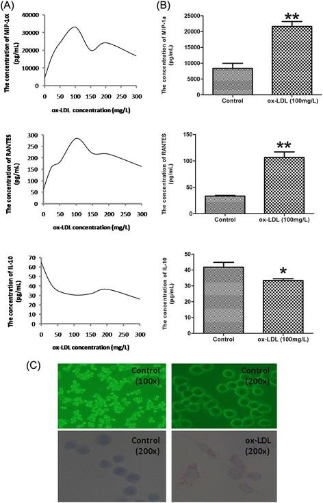 https://cdn.ncbi.nlm.nih.gov/pmc/blobs/eb79/4365560/c5dc18fe7e81/12967_2015_450_Fig1_HTML.jpg