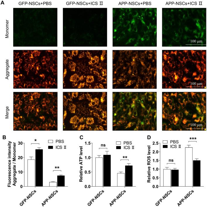 https://cdn.ncbi.nlm.nih.gov/pmc/blobs/eb7a/12062837/6a898132086a/fphar-16-1546256-g003.jpg