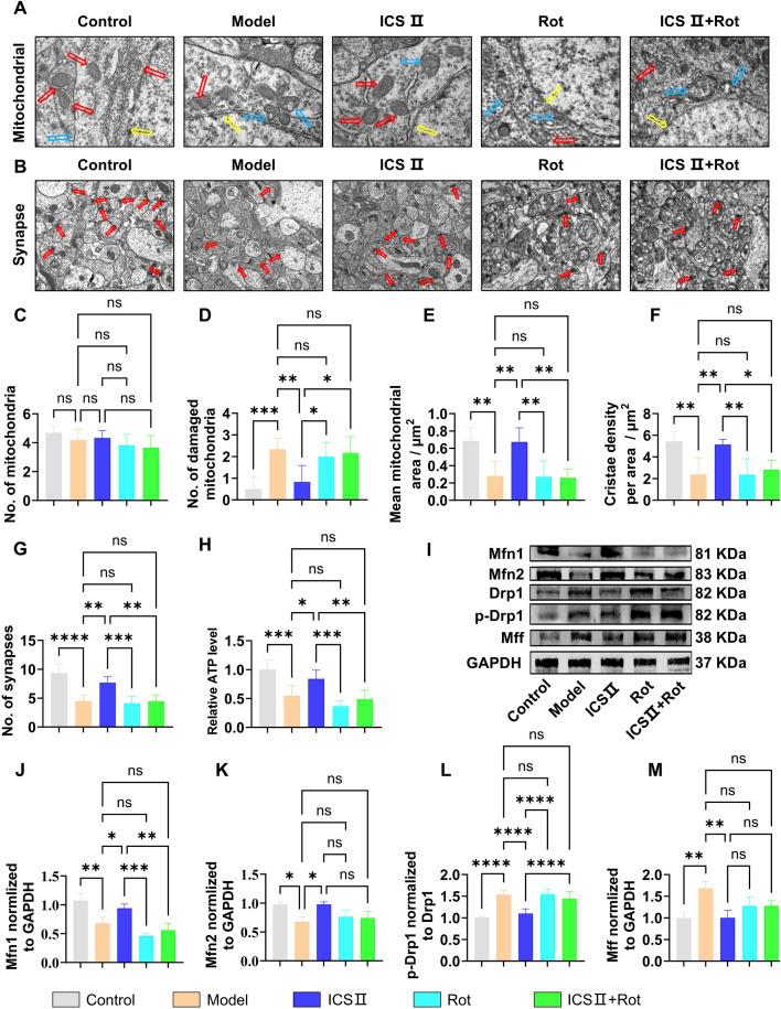 https://cdn.ncbi.nlm.nih.gov/pmc/blobs/eb7a/12062837/a094498154be/fphar-16-1546256-g008.jpg