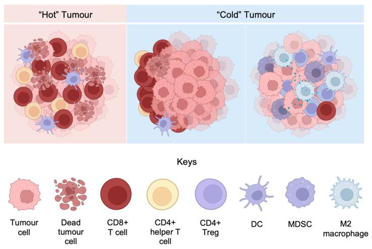https://cdn.ncbi.nlm.nih.gov/pmc/blobs/eb7c/11050678/66285feec1ab/ijms-25-04243-g002.jpg