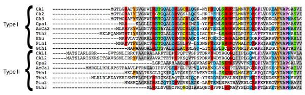https://cdn.ncbi.nlm.nih.gov/pmc/blobs/eb7c/2900272/9a1402b38c5c/1471-2148-10-176-3.jpg