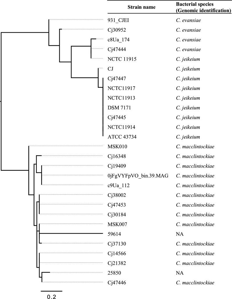 https://cdn.ncbi.nlm.nih.gov/pmc/blobs/eb7d/12345161/c947233c3d38/jcm.00500-25.f006.jpg