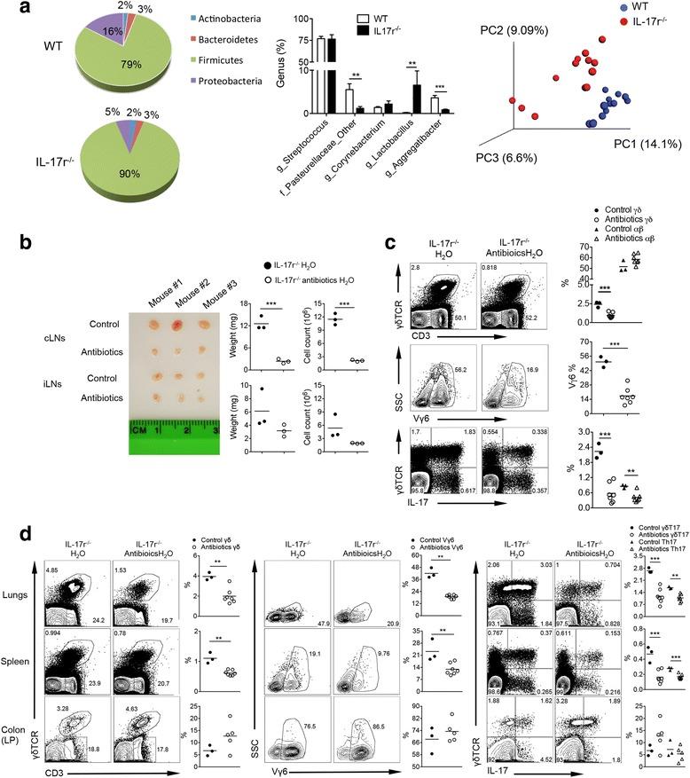 https://cdn.ncbi.nlm.nih.gov/pmc/blobs/eb7f/5404689/fcf233e26379/40168_2017_263_Fig5_HTML.jpg
