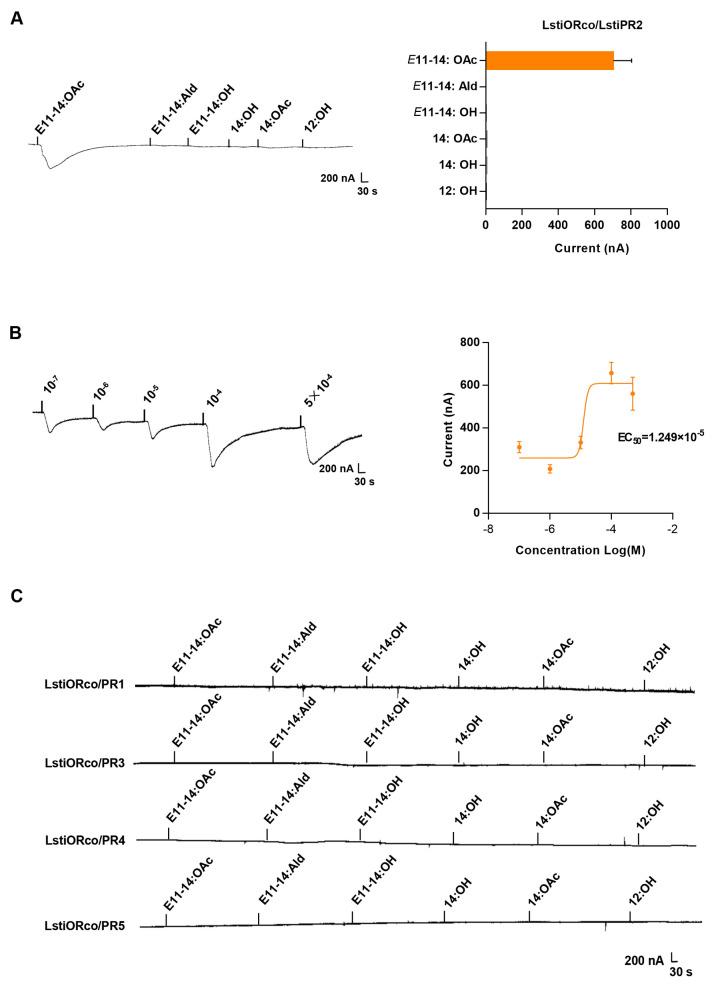 https://cdn.ncbi.nlm.nih.gov/pmc/blobs/eb80/10380584/42d8b09d31b6/insects-14-00584-g004.jpg