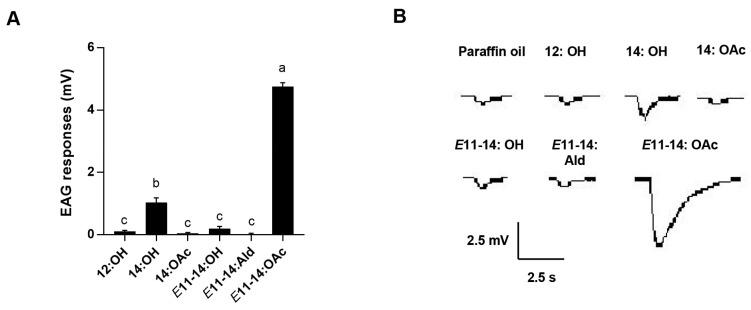 https://cdn.ncbi.nlm.nih.gov/pmc/blobs/eb80/10380584/b2de1405966c/insects-14-00584-g002.jpg