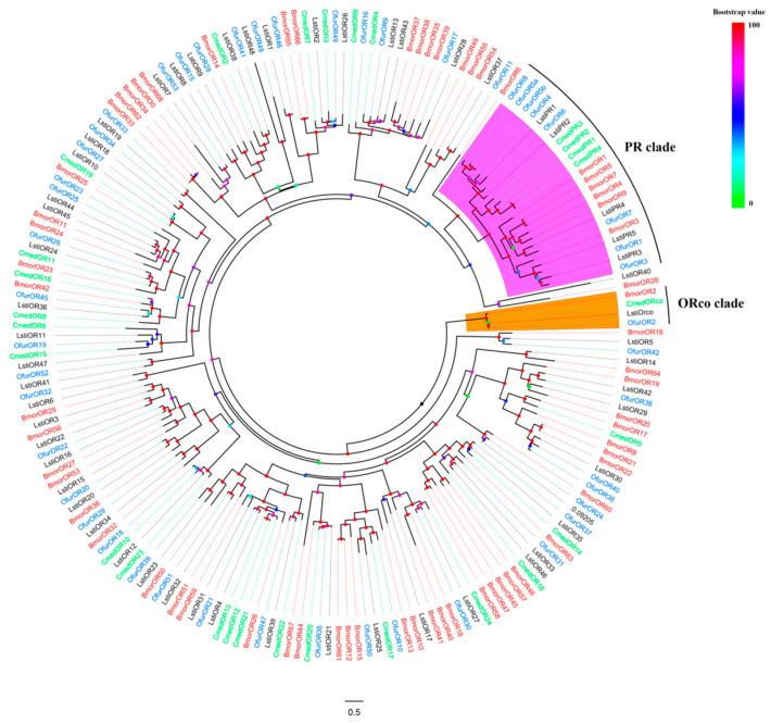 https://cdn.ncbi.nlm.nih.gov/pmc/blobs/eb80/10380584/c62cd4ab7be6/insects-14-00584-g001.jpg