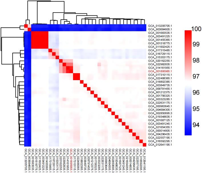https://cdn.ncbi.nlm.nih.gov/pmc/blobs/eb81/9669441/7a48b81ada5c/fcimb-12-1042350-g005.jpg
