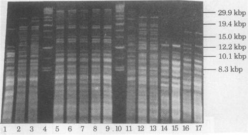 https://cdn.ncbi.nlm.nih.gov/pmc/blobs/eb83/265555/901c710197d6/jcm00018-0040-a.jpg