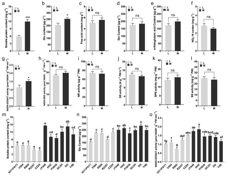https://cdn.ncbi.nlm.nih.gov/pmc/blobs/eb85/10855222/053a8226c7ba/ijms-25-01648-g003.jpg
