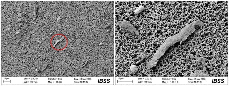 https://cdn.ncbi.nlm.nih.gov/pmc/blobs/eb85/5506931/6885f9ccb019/materials-10-00330-g012.jpg